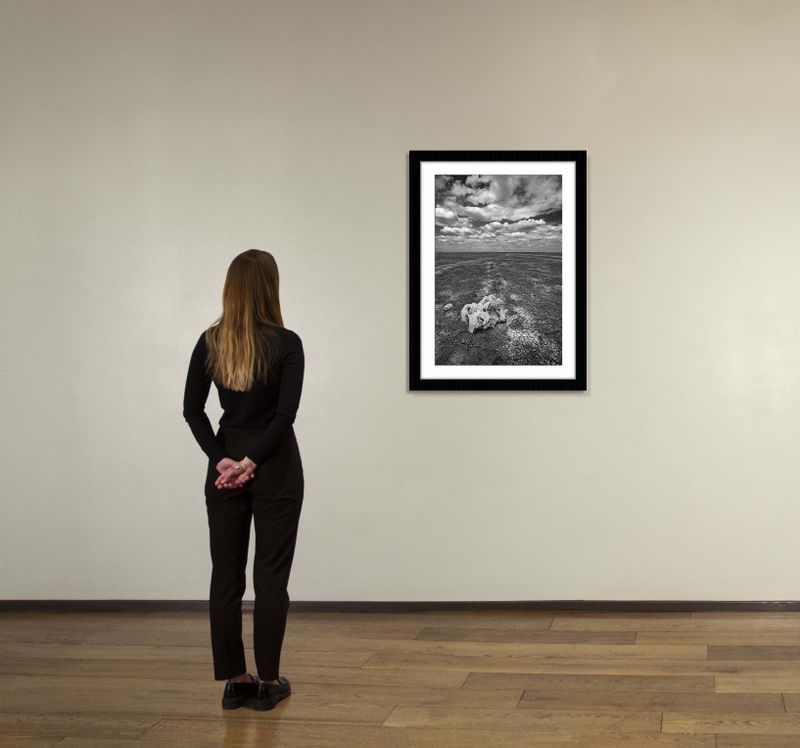 36 x 24 in., edition of 15